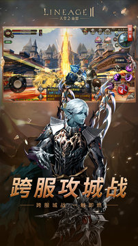 天堂2血盟游戲截圖4