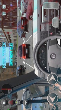 真正汽車司機駕駛游戲截圖1