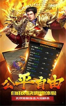 英雄合擊怒斬游戲截圖2
