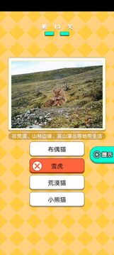 動物研究院游戲截圖5
