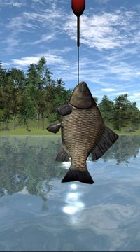 釣魚大師3D游戲截圖3