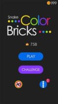 Snake Color Brick游戲截圖1