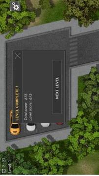 SMART PARKING PRO游戲截圖5