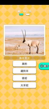 動物研究院游戲截圖2