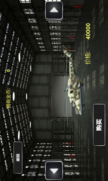 直升機真實模擬游戲截圖5