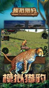 模擬獵豹游戲截圖4
