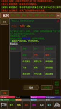 天賜江湖游戲截圖2