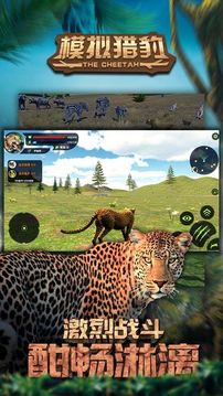 模擬獵豹游戲截圖3