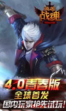 3D英雄戰(zhàn)魂游戲截圖1