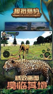 模擬獵豹游戲截圖5