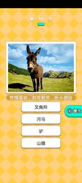 動物研究院游戲截圖3