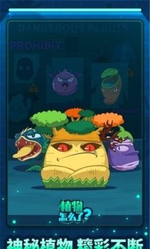 植物的沖突游戲截圖2