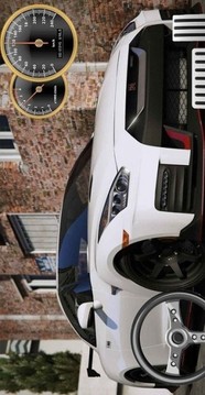 駕駛與停車游戲截圖1