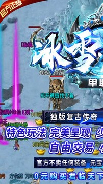御龍之路冰雪單職版游戲截圖3
