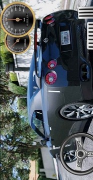 駕駛與停車游戲截圖3