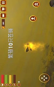 蒼蠅生存3D游戲截圖1