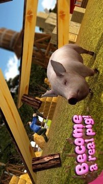 猪猪游戏截图2