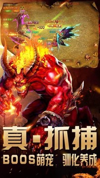 金界無雙單職業(yè)游戲截圖1