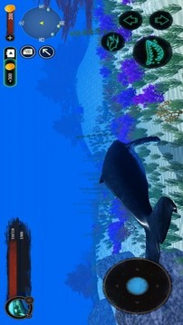 海洋動(dòng)物世界游戲截圖1