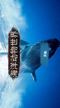 海洋動(dòng)物世界游戲截圖3