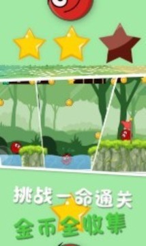 球球吃雞游戲截圖2