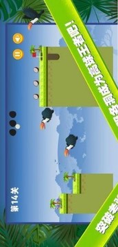 小金雨林球賽游戲截圖1