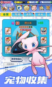 寶可夢永恒之戰(zhàn)游戲截圖2