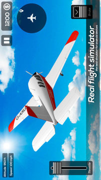 真實航空游戲截圖2
