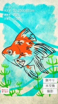 金魚育成游戲截圖3