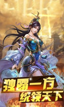 臥龍合擊游戲截圖3