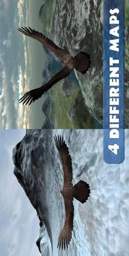 鷹狩獵之旅游戲截圖2