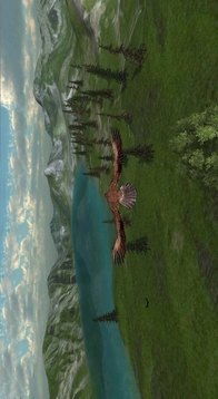 鷹狩獵之旅游戲截圖3