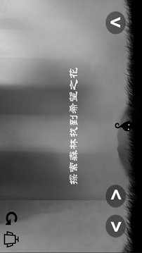 小黑歷險(xiǎn)記森林冒險(xiǎn)游戲截圖3