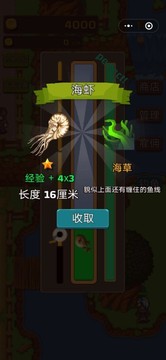 漁村物語游戲截圖1