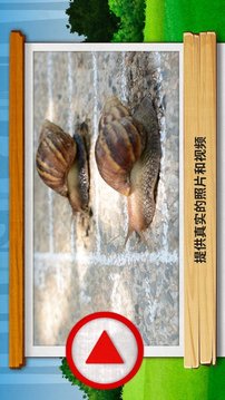 蟲蟲的世界2游戲截圖1