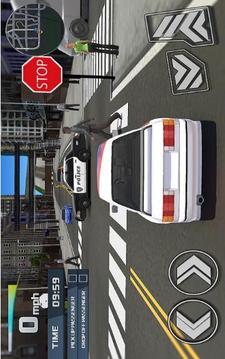 駕駛汽車2020游戲截圖2