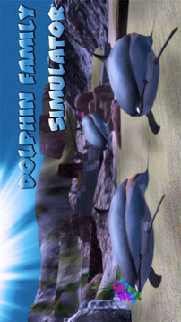 海豚家族游戏截图1