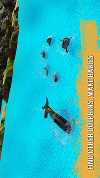 海豚家族游戏截图3