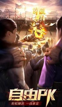太極合擊極品星王傳奇游戲截圖3
