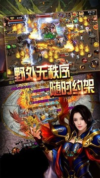 榮耀霸業(yè)單職業(yè)游戲截圖3