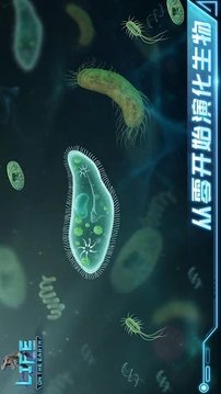 地球上的生命閑置進(jìn)化游戲截圖2