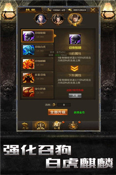 王者合擊刺影終極游戲截圖2
