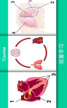 現(xiàn)實(shí)醫(yī)療游戲截圖3