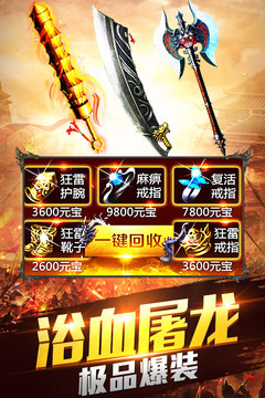 帶元神的傳奇世界游戲截圖2