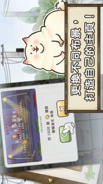 貓箱物語游戲截圖3