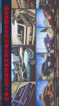 極速生涯游戲截圖1