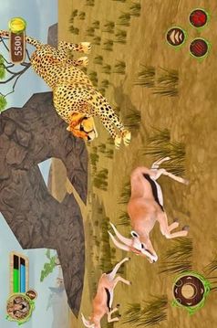 草原野生動物游戲截圖2