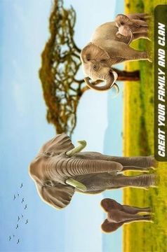 草原野生動物游戲截圖1