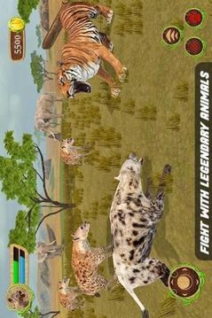 草原野生動物游戲截圖4