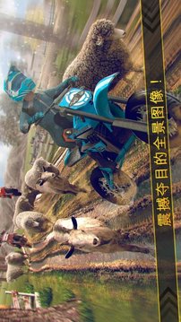 狂野特技摩托車游戲截圖1